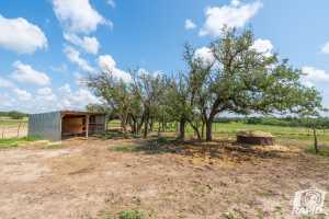 9286 County Road 2335 (13)