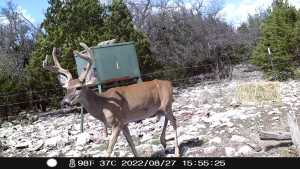 1019 Whitetail Trl (2)