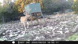 1019 Whitetail Trl (3)