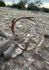 1019 Whitetail Trl (59)