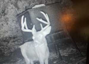 1019 Whitetail Trl (29)