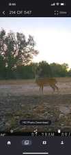 1019 Whitetail Trl (66)