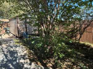 3607 Juanita Ave (29)