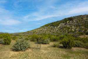 Poverty Canyon Rd (15)