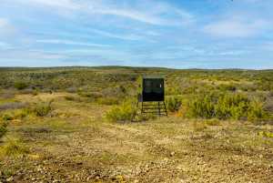 Poverty Canyon Rd (23)