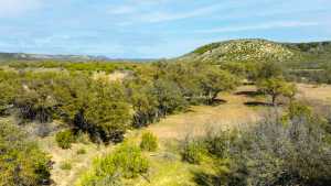 Poverty Canyon Rd (4)